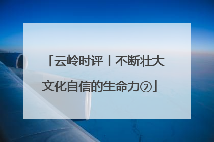 云岭时评丨不断壮大文化自信的生命力②