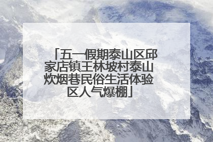 五一假期泰山区邱家店镇王林坡村泰山炊烟巷民俗生活体验区人气爆棚