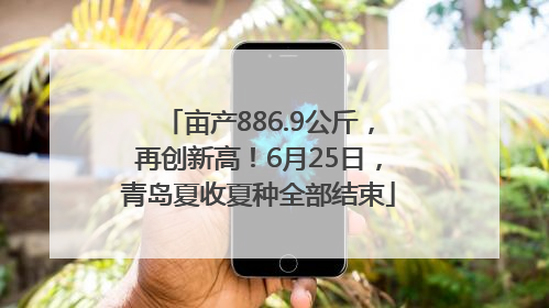 亩产886.9公斤，再创新高！6月25日，青岛夏收夏种全部结束