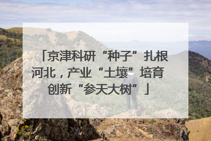 京津科研“种子”扎根河北，产业“土壤”培育创新“参天大树”
