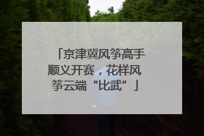 京津冀风筝高手顺义开赛，花样风筝云端“比武”