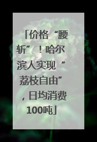 价格“腰斩”！哈尔滨人实现“荔枝自由”，日均消费100吨
