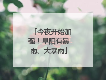 今夜开始加强！阜阳有暴雨、大暴雨