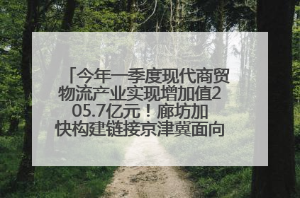 今年一季度现代商贸物流产业实现增加值205.7亿元！廊坊加快构建链接京津冀面向全世界的物流通道