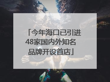 今年海口已引进48家国内外知名品牌开设首店