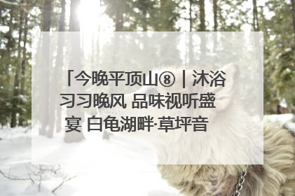 今晚平顶山⑧｜沐浴习习晚风 品味视听盛宴 白龟湖畔·草坪音乐会激情上演