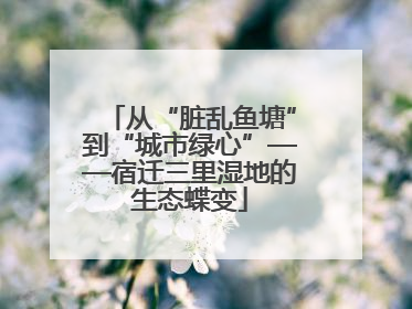 从“脏乱鱼塘”到“城市绿心”——宿迁三里湿地的生态蝶变