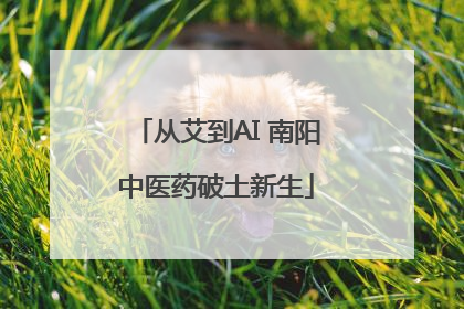 从艾到AI 南阳中医药破土新生