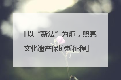 以“新法”为炬，照亮文化遗产保护新征程