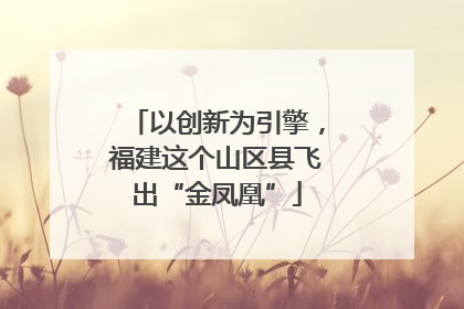 以创新为引擎，福建这个山区县飞出“金凤凰”