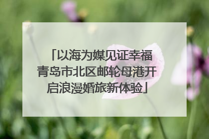 以海为媒见证幸福 青岛市北区邮轮母港开启浪漫婚旅新体验