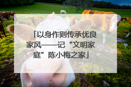 以身作则传承优良家风——记“文明家庭”陈小梅之家