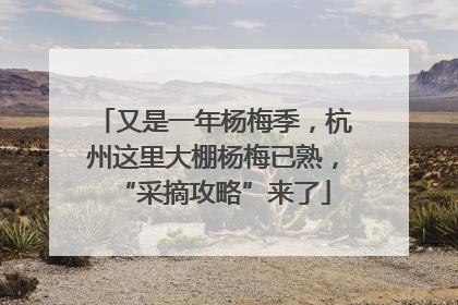 又是一年杨梅季，杭州这里大棚杨梅已熟，“采摘攻略”来了