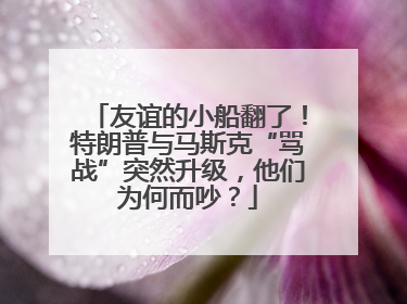 友谊的小船翻了！特朗普与马斯克“骂战”突然升级，他们为何而吵？