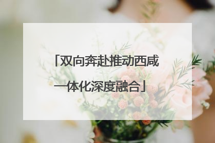 双向奔赴推动西咸一体化深度融合