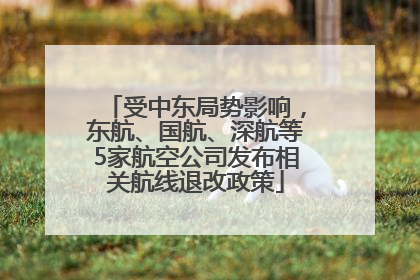 受中东局势影响，东航、国航、深航等5家航空公司发布相关航线退改政策