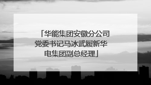 华能集团安徽分公司党委书记马冰武履新华电集团副总经理