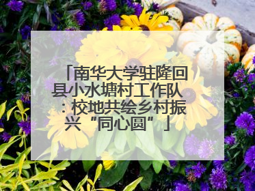 南华大学驻隆回县小水塘村工作队：校地共绘乡村振兴“同心圆”