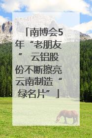 南博会5年“老朋友” 云铝股份不断擦亮云南制造“绿名片”