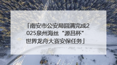 南安市公安局圆满完成2025泉州海丝“源昌杯”世界龙舟大赛安保任务