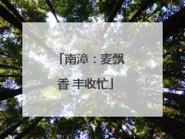南漳：麦飘香 丰收忙