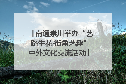 南通崇川举办“艺路生花·街角艺趣”中外文化交流活动