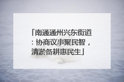 南通通州兴东街道：协商议事聚民智，清淤备耕惠民生