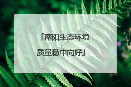 南阳生态环境质量稳中向好