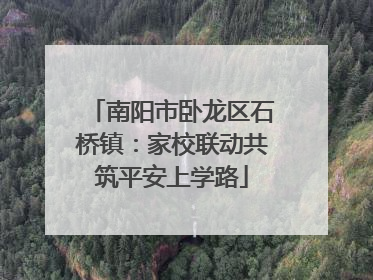 南阳市卧龙区石桥镇：家校联动共筑平安上学路