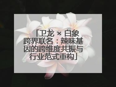 卫龙 × 白象跨界联名：辣味基因的跨维度共振与行业范式重构
