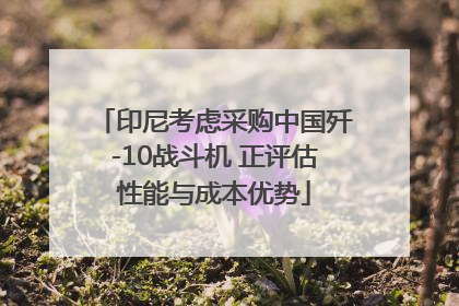 印尼考虑采购中国歼-10战斗机 正评估性能与成本优势