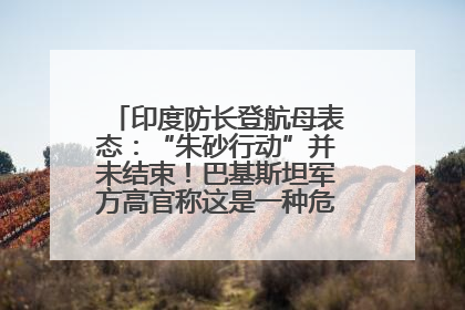 印度防长登航母表态：“朱砂行动”并未结束！巴基斯坦军方高官称这是一种危险的状况……