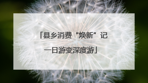 县乡消费“焕新”记 一日游变深度游