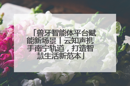 兽牙智能体平台赋能新场景丨云知声携手南宁轨道，打造智慧生活新范本