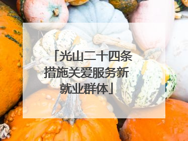 光山二十四条措施关爱服务新就业群体
