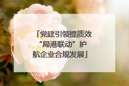 党建引领提质效 “局港联动”护航企业合规发展