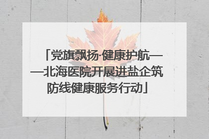 党旗飘扬·健康护航——北海医院开展进盐企筑防线健康服务行动