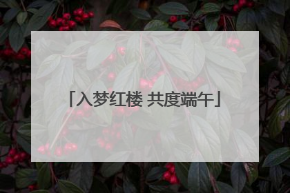 入梦红楼 共度端午