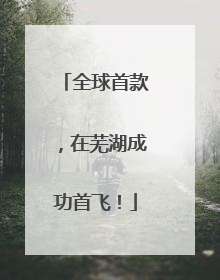 全球首款，在芜湖成功首飞！