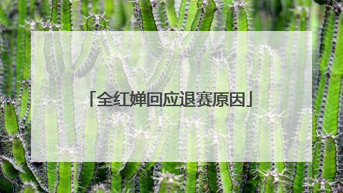 全红婵回应退赛原因