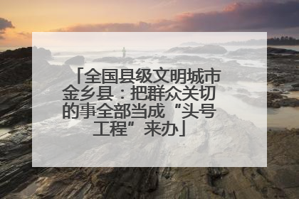 全国县级文明城市金乡县：把群众关切的事全部当成“头号工程”来办