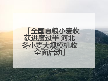 全国夏粮小麦收获进度过半 河北冬小麦大规模机收全面启动