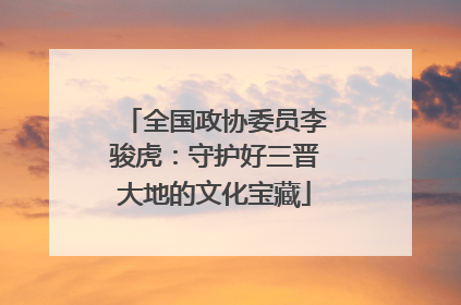 全国政协委员李骏虎：守护好三晋大地的文化宝藏