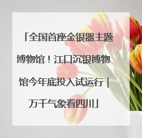 全国首座金银器主题博物馆！江口沉银博物馆今年底投入试运行｜万千气象看四川