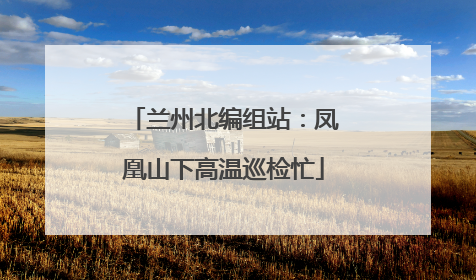 兰州北编组站：凤凰山下高温巡检忙