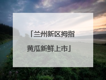兰州新区拇指黄瓜新鲜上市