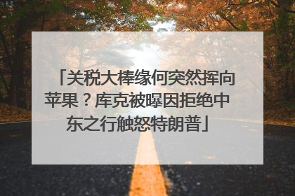 关税大棒缘何突然挥向苹果？库克被曝因拒绝中东之行触怒特朗普
