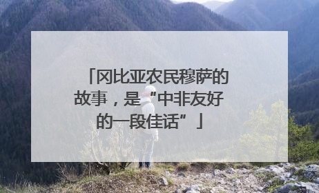 冈比亚农民穆萨的故事，是“中非友好的一段佳话”