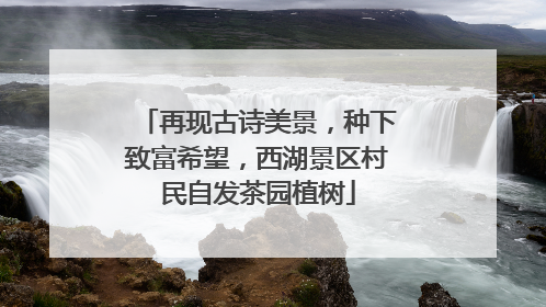 再现古诗美景，种下致富希望，西湖景区村民自发茶园植树