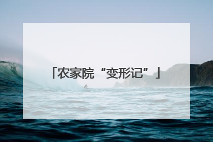 农家院“变形记”